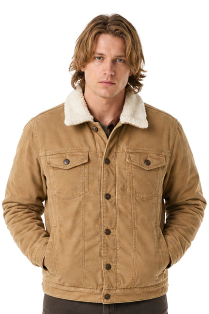Man wearing a brown jacket with a white collar on a white background