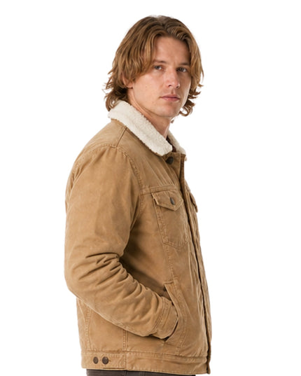 Nancy Drew Alex Saxon Brown Jacket